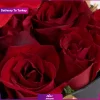 باکس گل و خرس (تحویل در ترکیه) - Image 2