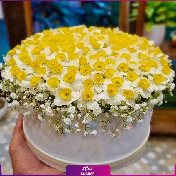 خرید آنلاین باکس گل - سفارش باکس گل نرگس به همراه رز - باکس گل نگرس به همراه گل عروس