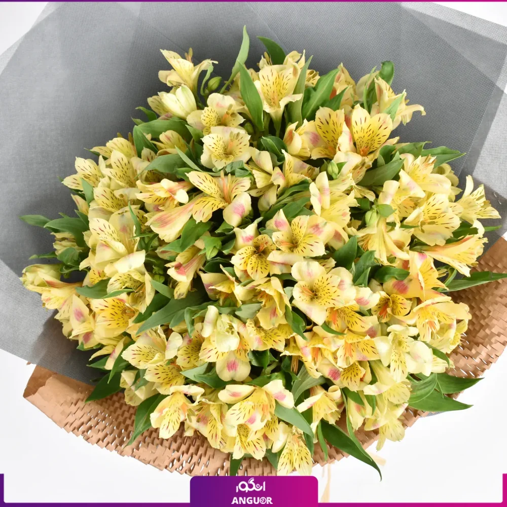 سفارش آنلاین دسته گل - خرید دسته گل آلسترومریا - ارسال گل به ایران - دسته گل آلسترومریا خوشرنگ