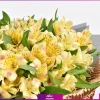 سفارش آنلاین دسته گل - خرید دسته گل آلسترومریا - ارسال گل به ایران - دسته گل آلسترومریا خوشرنگ