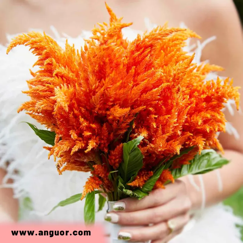 دسته گل عروس فرمالیته با تاج خروس نارنجی