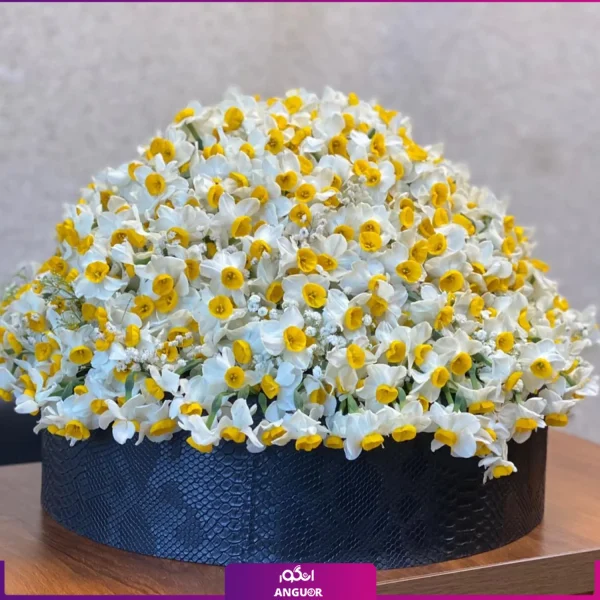 خرید و سفارش باکس گل - باکس گل 200 شاخه ای - خرید باکس گل نرگس