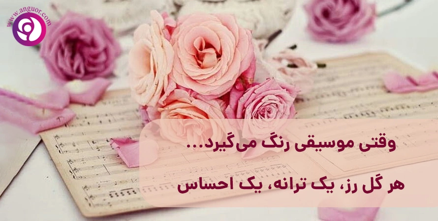 آهنگ‌ برای هر رنگ گل رز | موسیقی‌هایی الهام‌گرفته از احساس گل‌ها