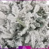 خرید کاج کریسمس - سفارش آنلاین درخت کریسمس - هدیه کریسمس