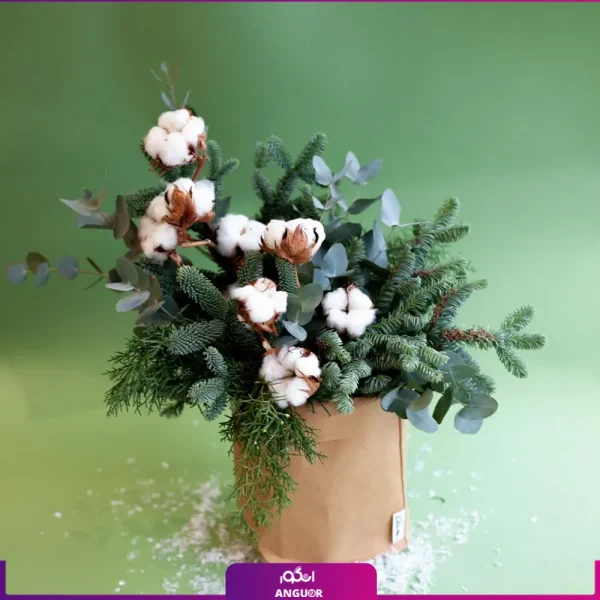 خرید آنلاین باکس گل کریسمس - سفارش باکس گل کریسمس به همراه پنبه - باکس گل کریسمس با دیزاین خاص