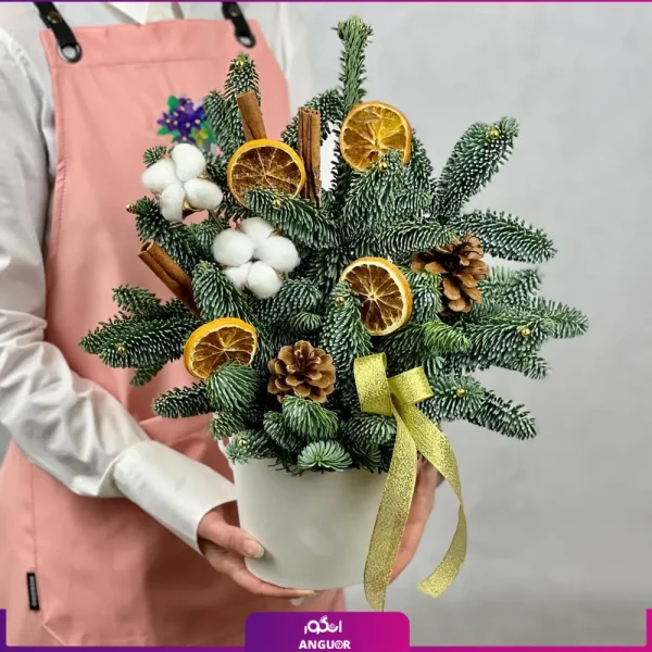 باکس کریسمس به همراه دارچین - سفارش آنلاین باکس گل کریمس
