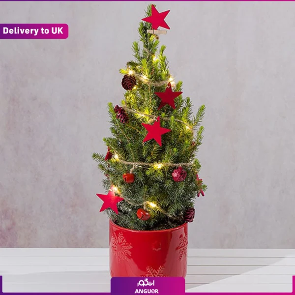 گل فروشی آنلاین | سفارش آنلاین گل - انگور