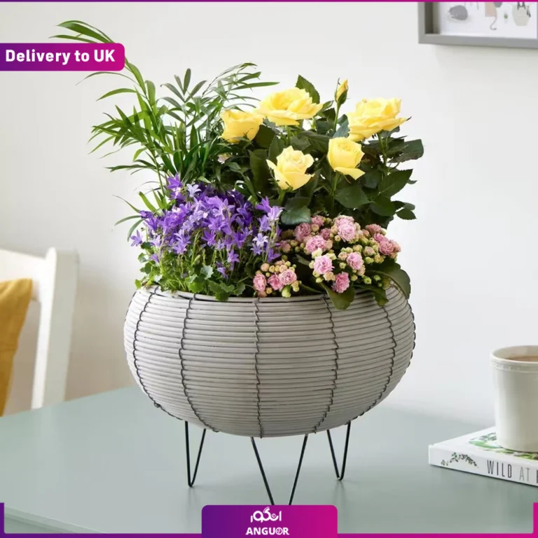 گل فروشی آنلاین | سفارش آنلاین گل - انگور