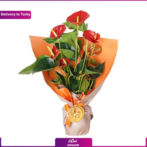 انتوریوم قرمز و ارسال به ترکیه