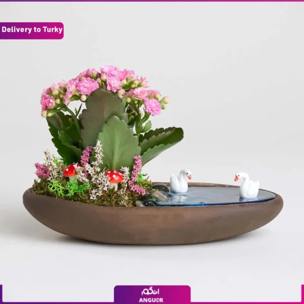 تراریوم کالانکوئه و ارسال به ترکیه از انگور