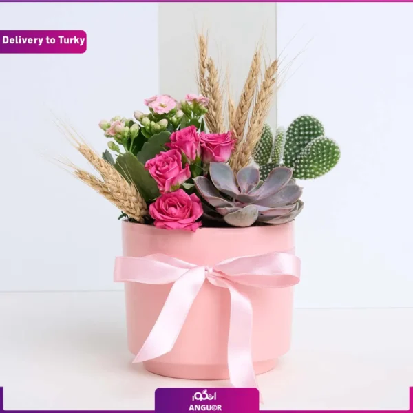باکس گل رز و ساکولنت و ارسال به ترکیه