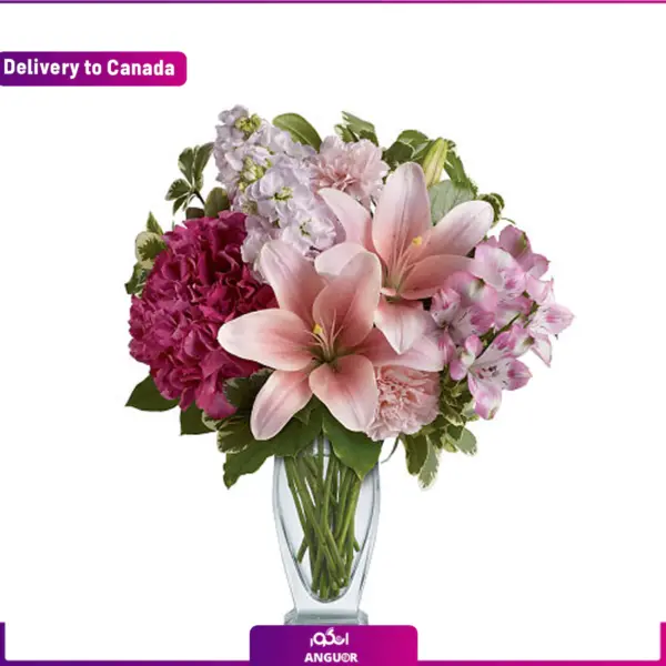 ارسال گل به کانادا- خرید آنلاین گل- انگور