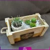 جعبه گل به همراه شمع گیاهی