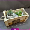 جعبه گل به همراه شمع گیاهی - Image 2
