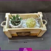 جعبه گل به همراه شمع گلی - Image 2
