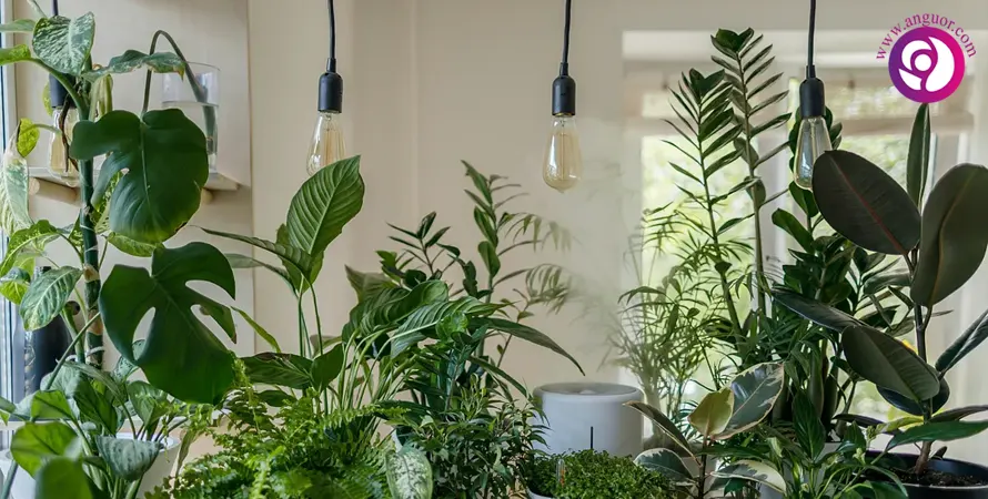 نور رشد طیف کامل LED برای گیاهان