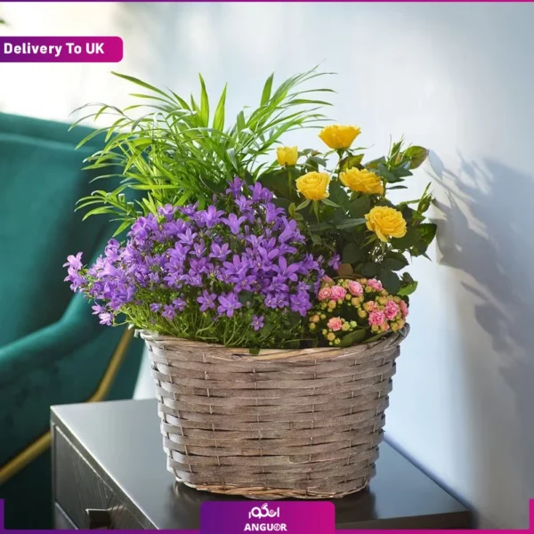 Beautiful Indoor Basket send to uk