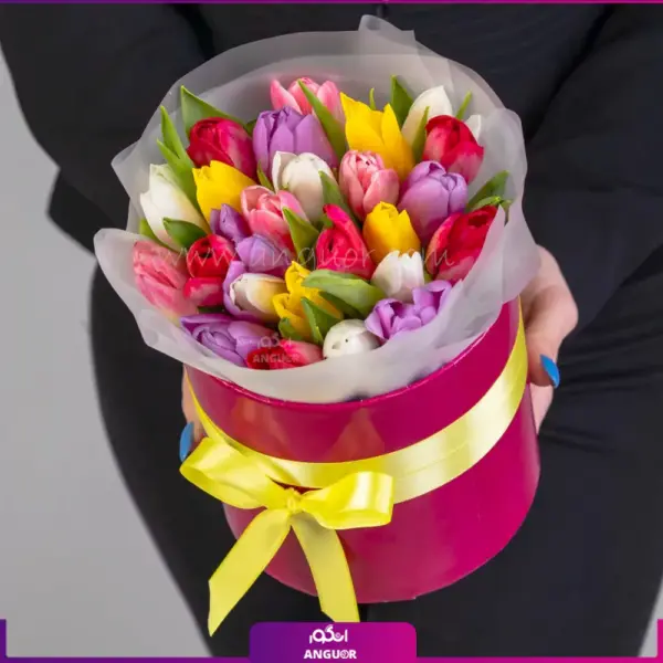 باکس گل لاله 25 شاخه- خرید آنلاین گل بهاری- انگور