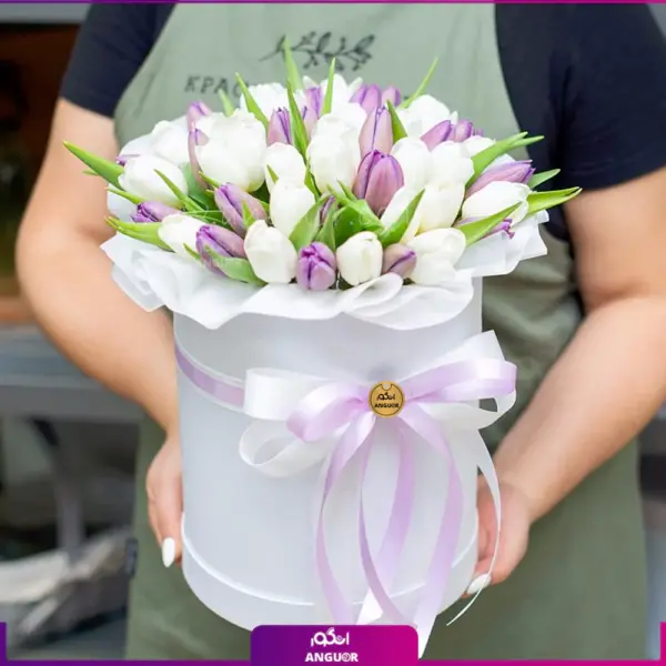 باکس گل لاله- 50 شاخه گل لاله- انگور