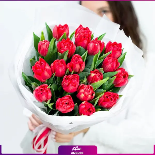 دسته گل لاله- گل لاله قرمز- خرید آنلاین گل لاله