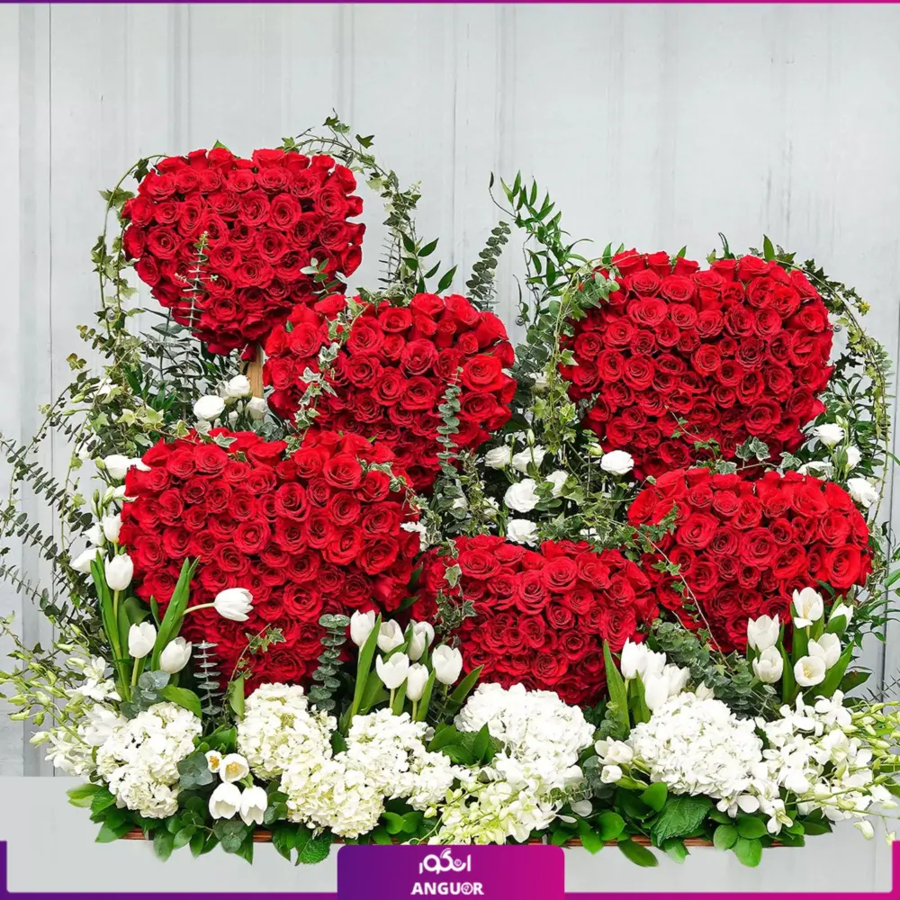 The Heart and Soul (طرح بین الملل ) - Image 2