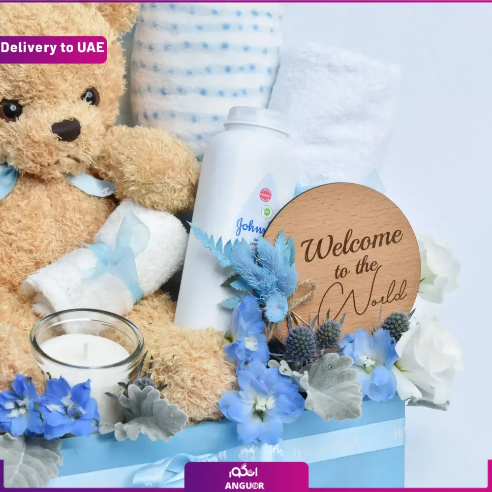 باکس نوزاد پسرانه (تحویل دبی و امارات) - Image 2
