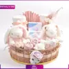 باکس هدیه نوزاد دختر ( ارسال به دبی و امارات )