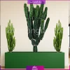 فلاور باکس ترکیبی افوربیا تریگونا و اینگنس - Image 8