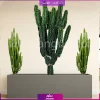 فلاور باکس ترکیبی افوربیا تریگونا و اینگنس - Image 13