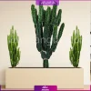 فلاور باکس ترکیبی افوربیا تریگونا و اینگنس - Image 15