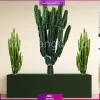 فلاور باکس ترکیبی افوربیا تریگونا و اینگنس - Image 19