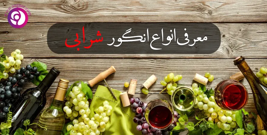معرفی انگورهای شرابی
