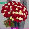 دسته گل رز سفید و قرمز 150 شاخه (رز هلندی)