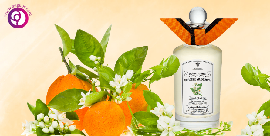 عطر شکوفه پرتقال Penhaligon's London Anthology Orange Blossom