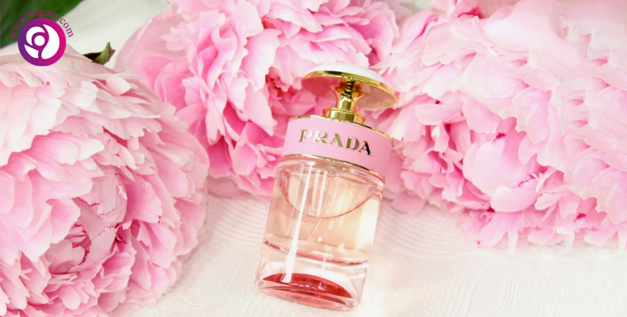 عطر گل پیونی prada candy florale