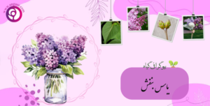 یاس بنفش