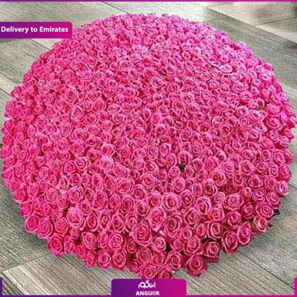 گل فروشی آنلاین نیاوران - انگور