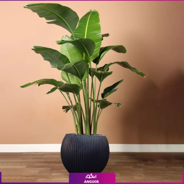 نخل نیکولای همراه با گلدان فایبرگلاس طرح دار-