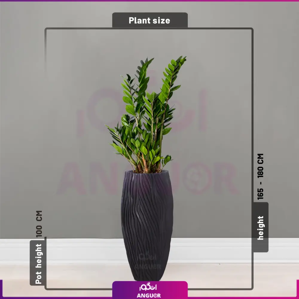 گلدان فایبرگلاس طرح River floor با زاموفیلیا سبز-