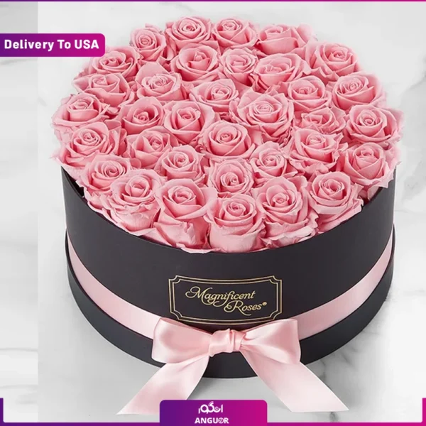 گل فروشی آنلاین | سفارش آنلاین گل - انگور