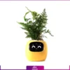 گلدان هوشمند smart Flowerpots (جنس اصلی وارداتی)