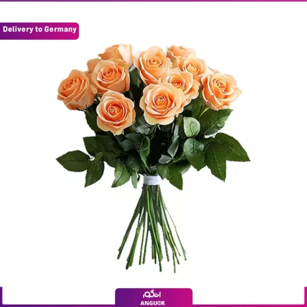 دسته گل رز نارنجی 10 شاخه برای آلمان
