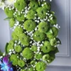 حلقه در آرزوی گلهای کریسمسی (تحویل در هند) - Image 4