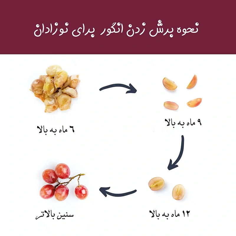 نحوه برش زدن انگور برای نوزادان