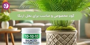 کود مناسب برای نخل اریکا