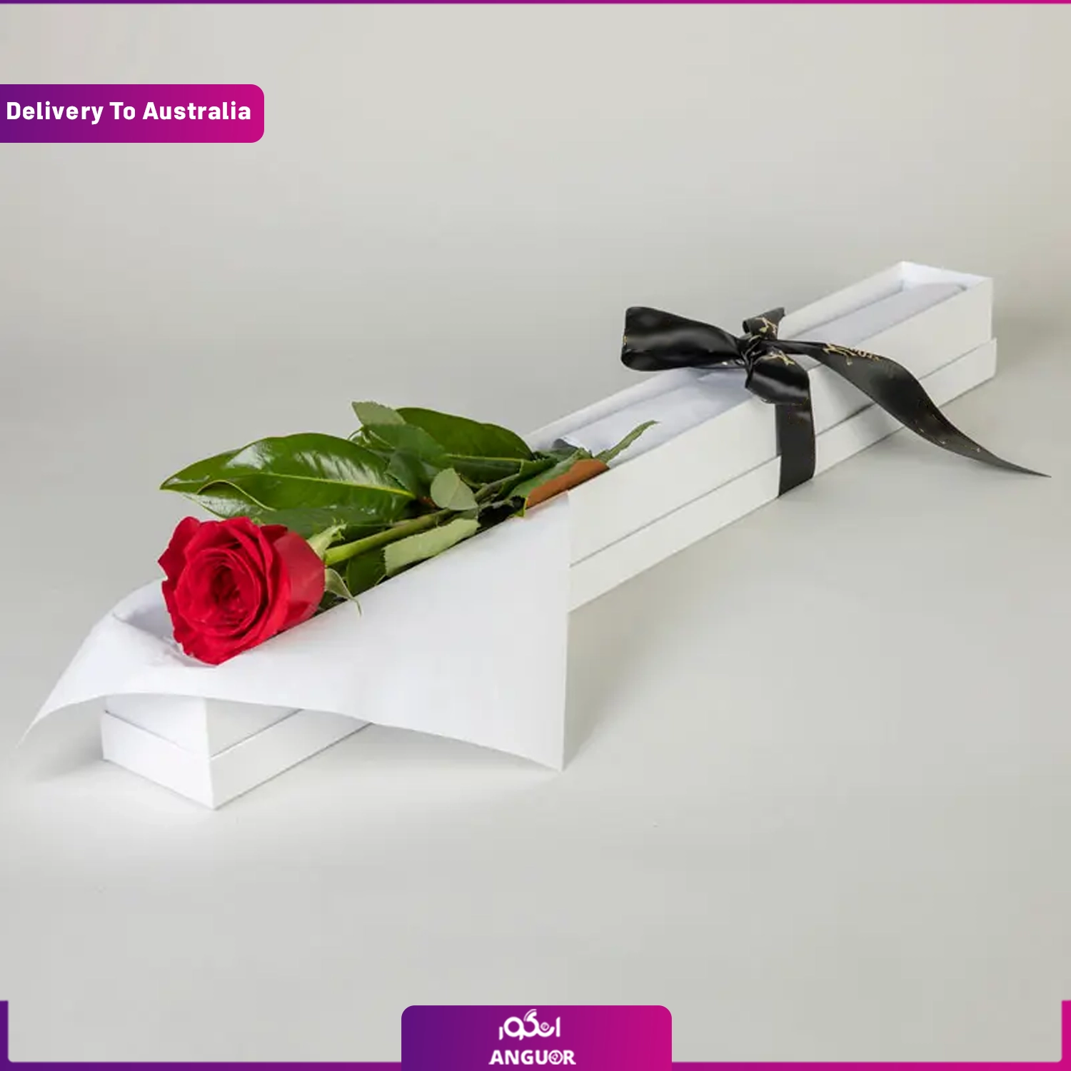 باکس گل رز قرمز تک شاخه - تحویل استرالیا باکس گل رز تک شاخه (تحویل در استرالیا) - Image 1