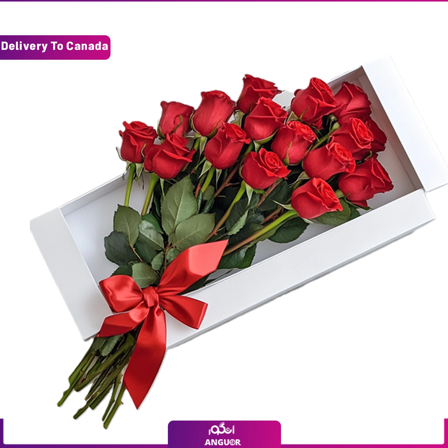 دسته گل داخل جعبه (ارسال گل به کانادا) دسته گل داخل جعبه (ارسال گل به کانادا)