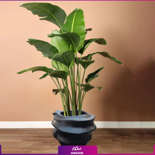 نخل نیکولای با گلدان فایبرگلاس طرح کهکشان