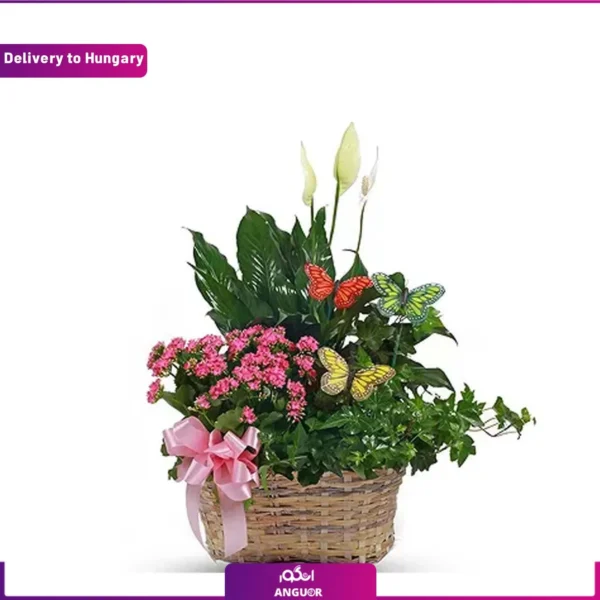 ارسال سبد گل بهاری به مجارستان