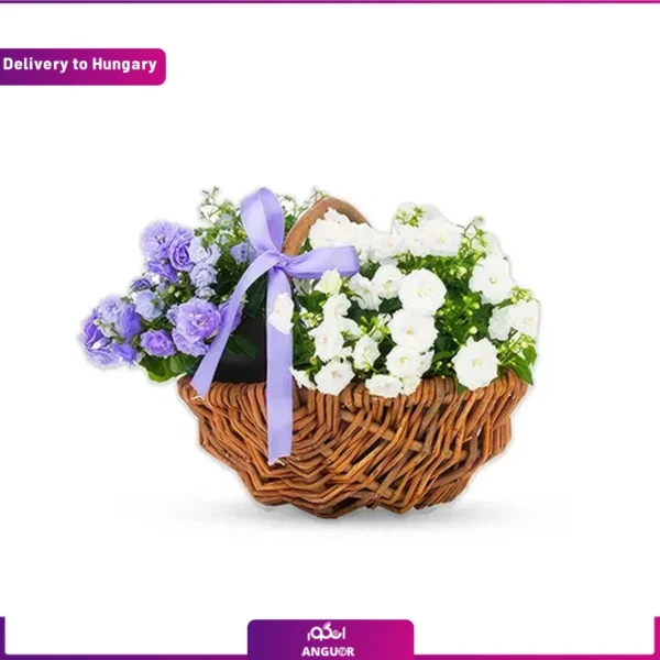 سبد گلهای بهاری و ارسال به مجارستان